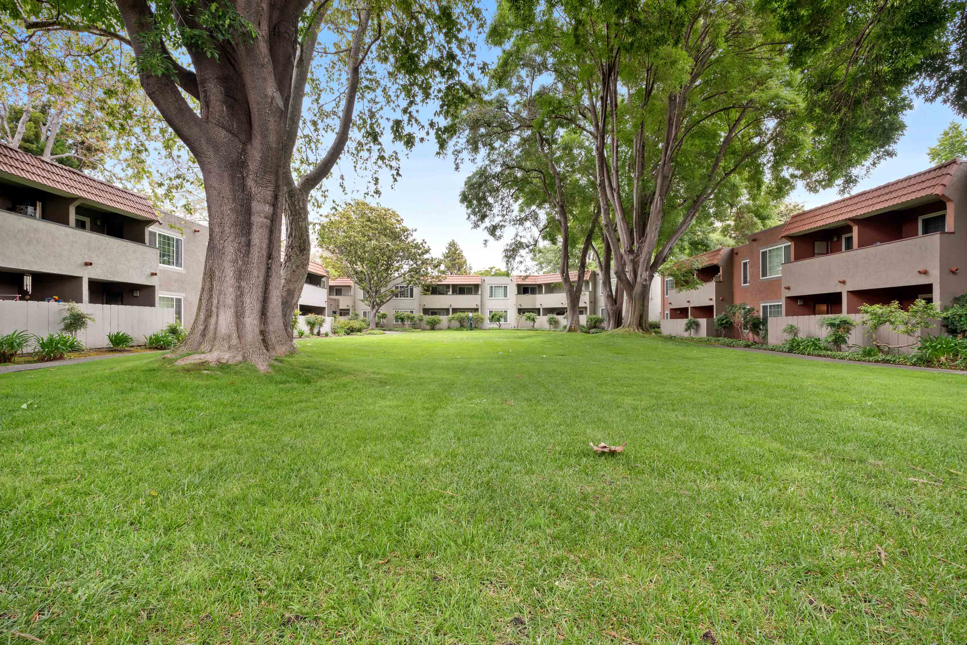 Apartments on Hesperian Blvd · Hayward photo 3